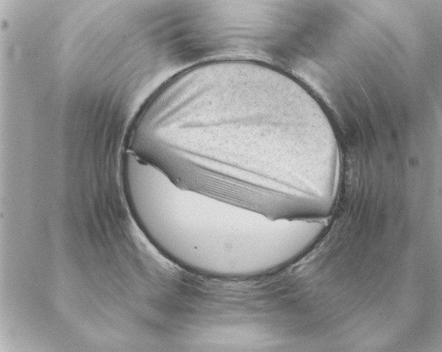 X0000088601468200706151749