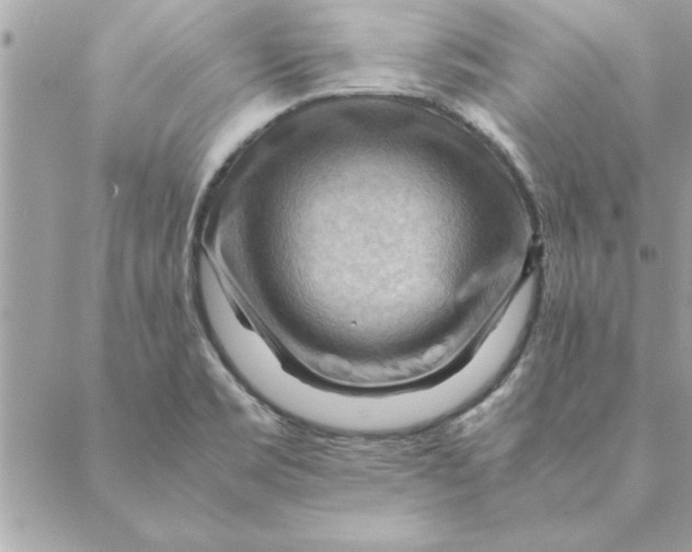 X0000088601469200706151749