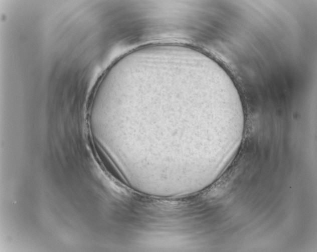 X0000088601470200706151749