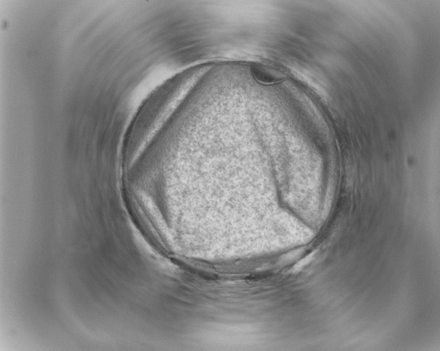 X0000088601471200706151749