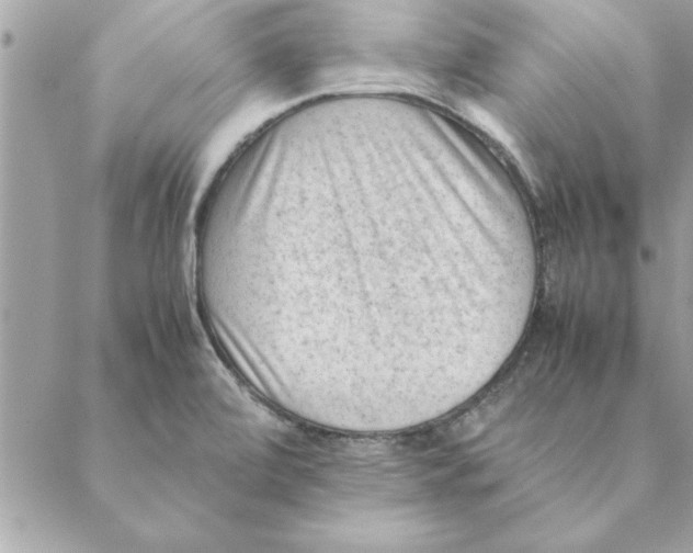 X0000088601472200706151749