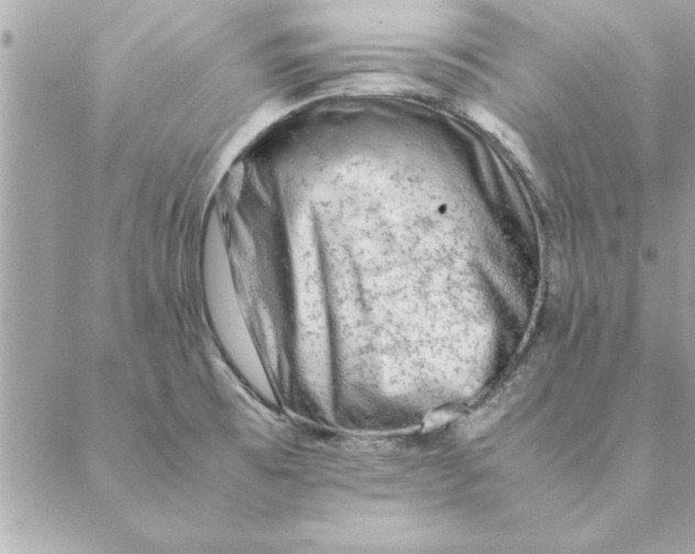 X0000088601473200706151749