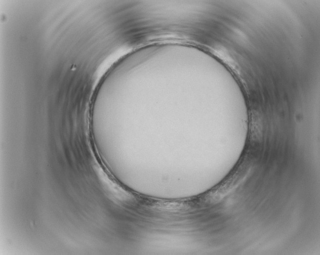 X0000088601474200706151749