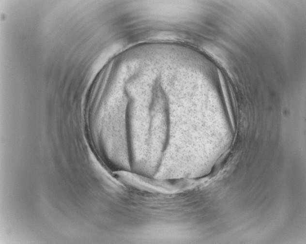 X0000088601475200706151749