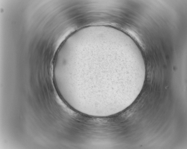 X0000088601476200706151749