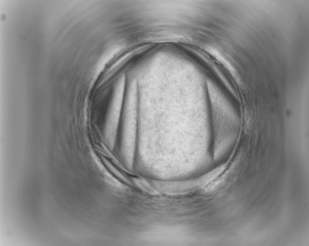 X0000088601477200706151749