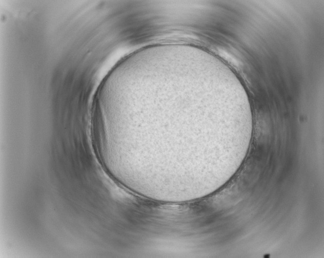 X0000088601478200706151749