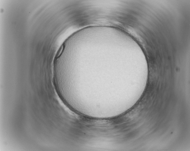 X0000088601479200706151749