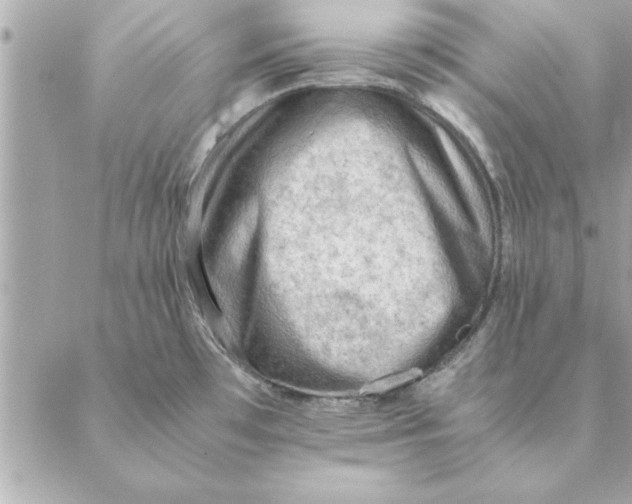 X0000088601481200706151749