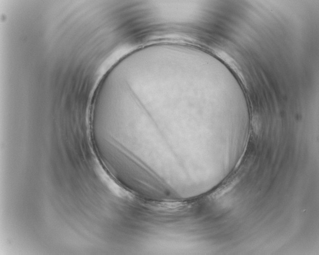 X0000088601482200706151749