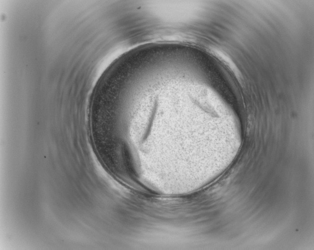 X0000088601483200706151749