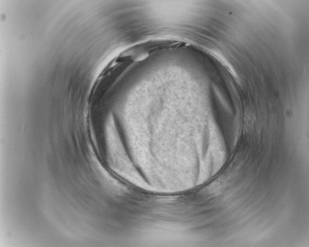 X0000088601484200706151749