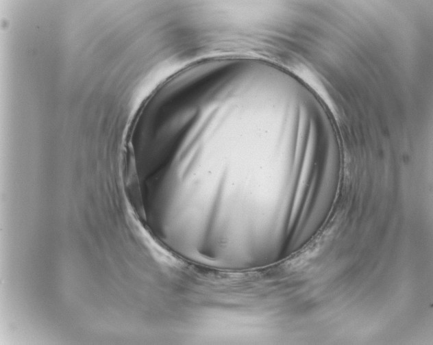 X0000088601485200706151749