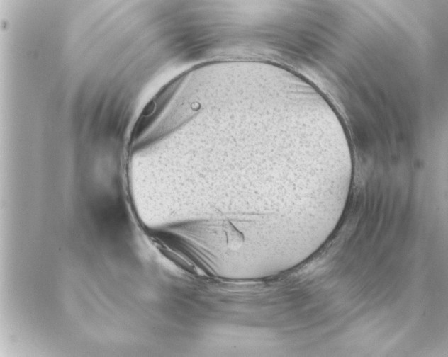 X0000088601486200706151749