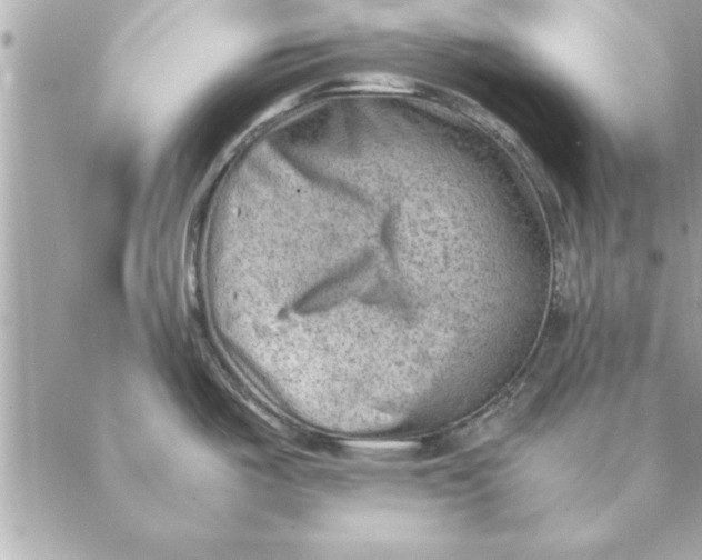 X0000088601487200706151749