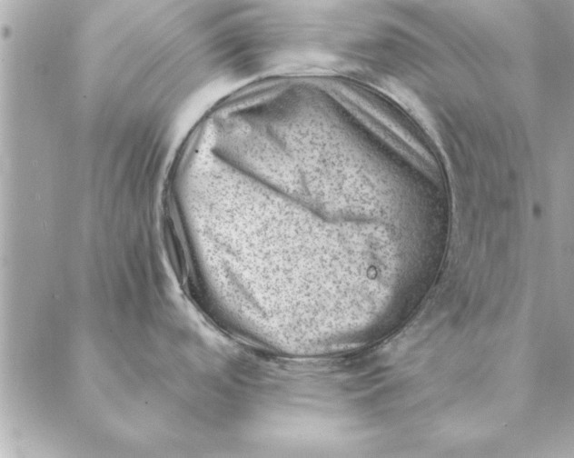 X0000088601488200706151749