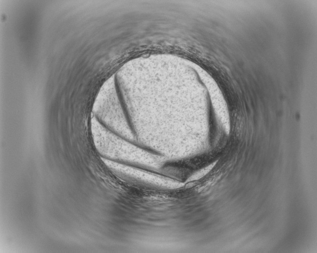 X0000088601489200706151748