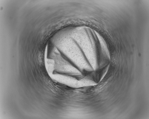 X0000088601490200706151748