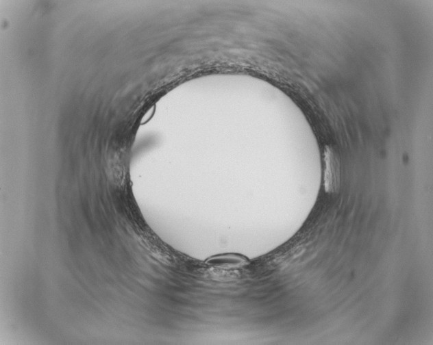 X0000088601491200706151748