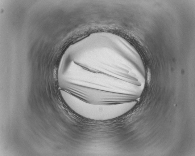 X0000088601492200706151748