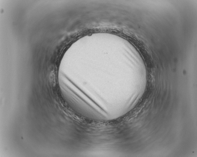 X0000088601493200706151748