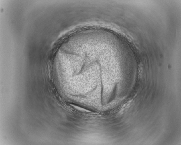 X0000088601494200706151748