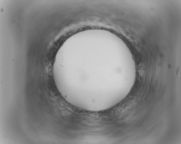 X0000088601495200706151748