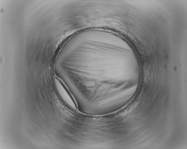 X0000088601497200706151748