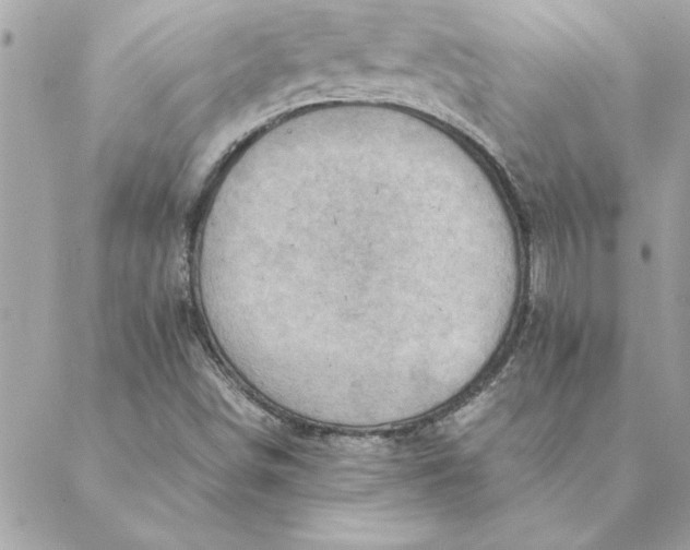 X0000088601498200706151748