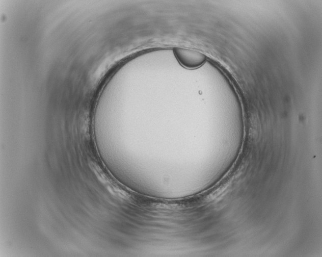 X0000088601499200706151748