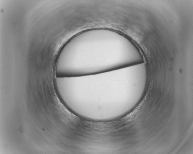 X0000088601500200706151748