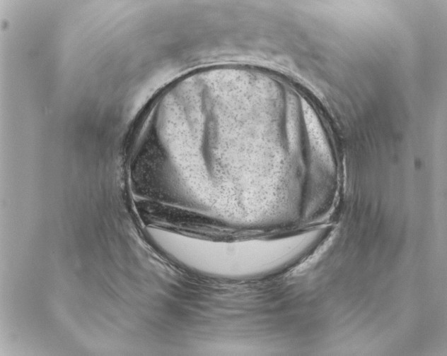 X0000088601501200706151748