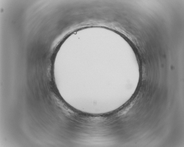 X0000088601502200706151748