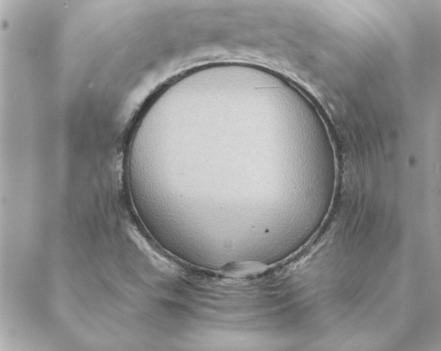 X0000088601503200706151748