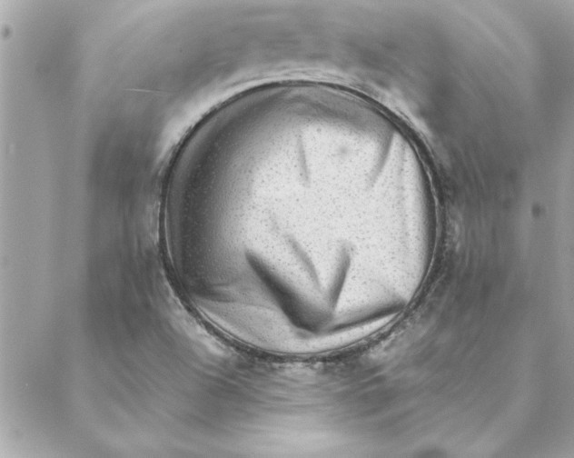 X0000088601504200706151748