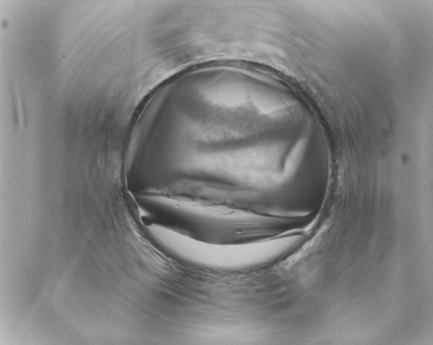 X0000088601505200706151748