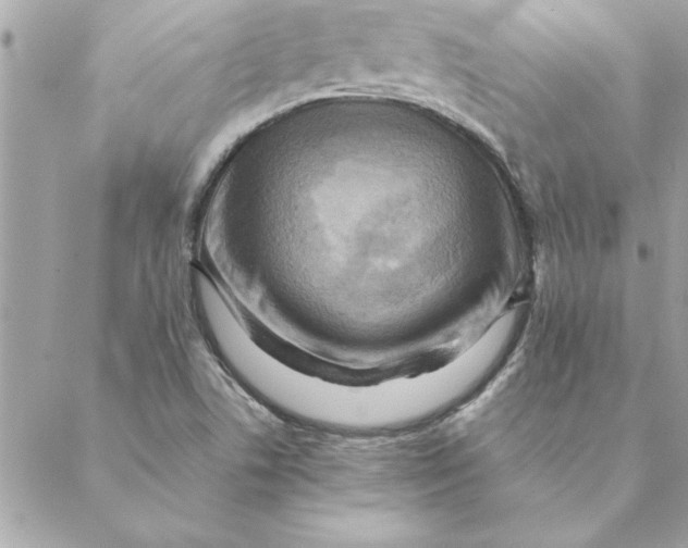 X0000088601506200706151748