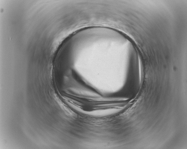 X0000088601507200706151748