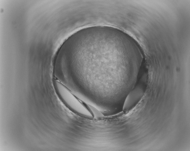 X0000088601508200706151748