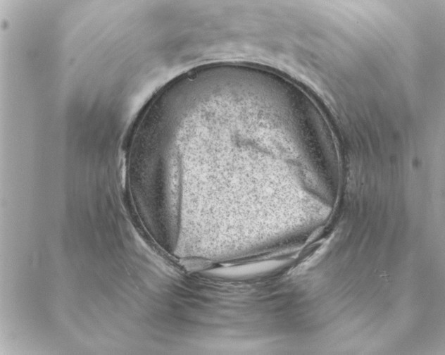 X0000088601509200706151748