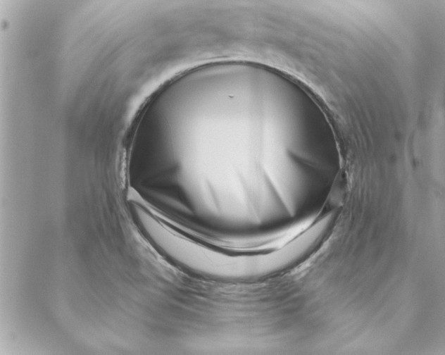 X0000088601510200706151748