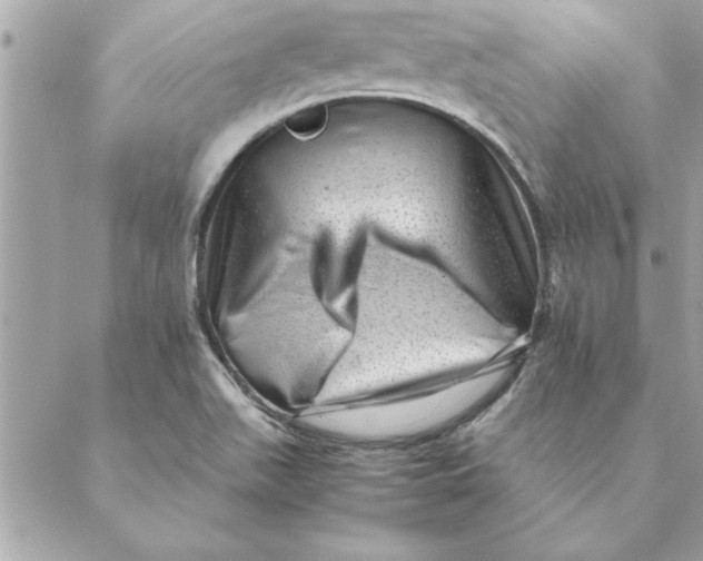 X0000088601511200706151748