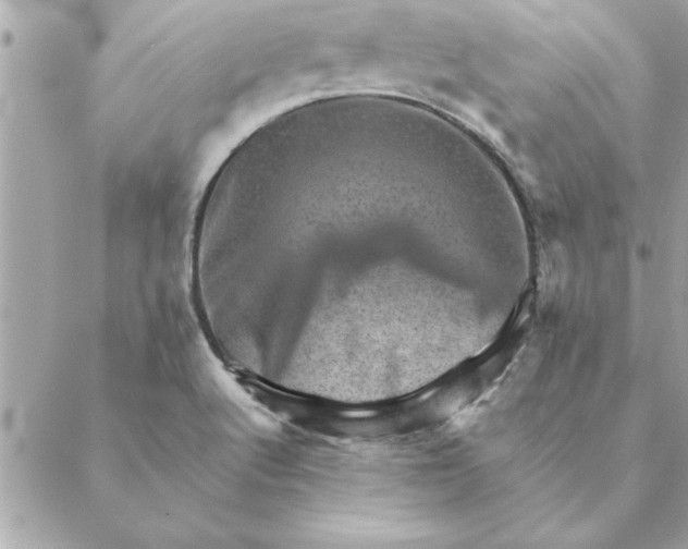 X0000088601512200706151748