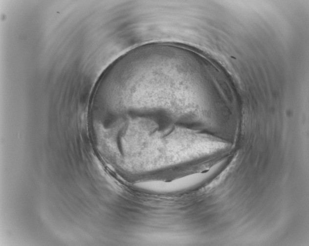 X0000088601513200706151748