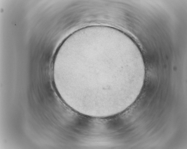 X0000088601514200706151748