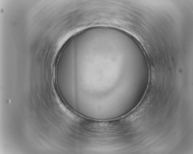 X0000088601515200706151748