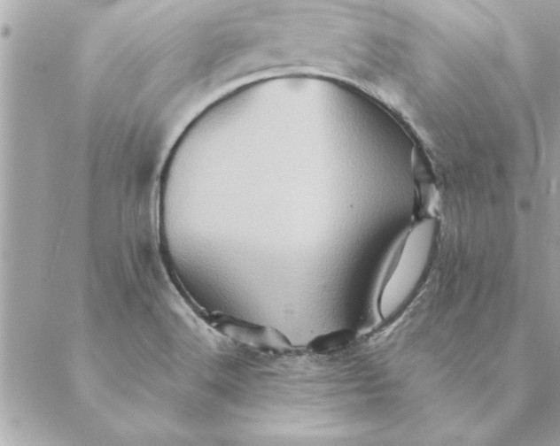 X0000088601516200706151748