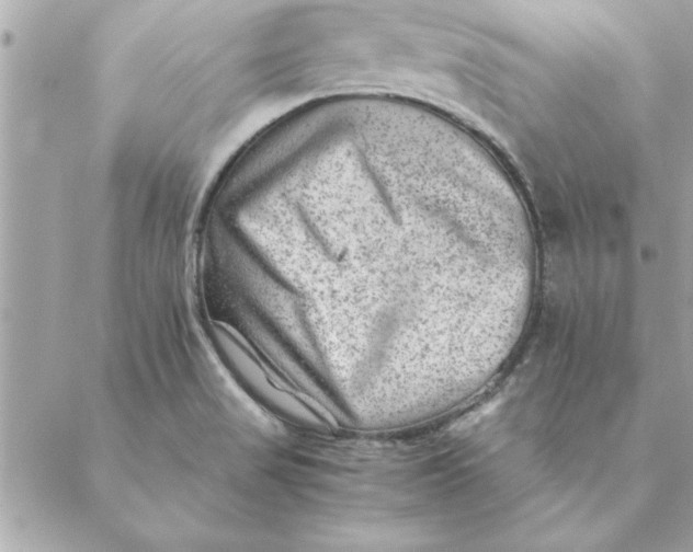 X0000088601517200706151748