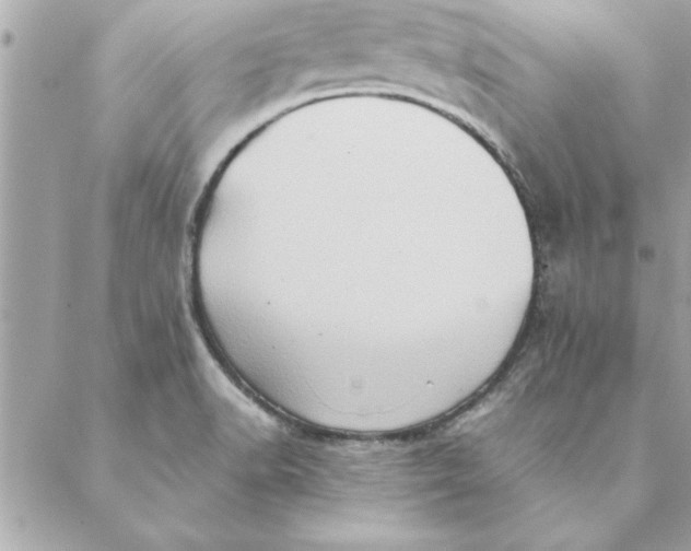 X0000088601518200706151748