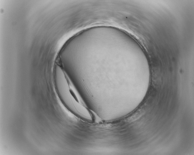 X0000088601519200706151748